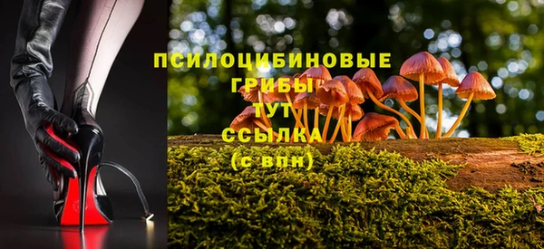 хмурый Арсеньев