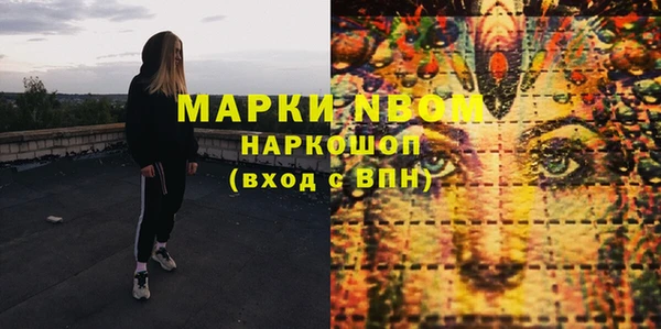 хмурый Арсеньев