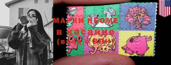 хмурый Арсеньев