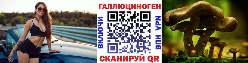 Псилоцибиновые грибы Cubensis  Верхняя Пышма 